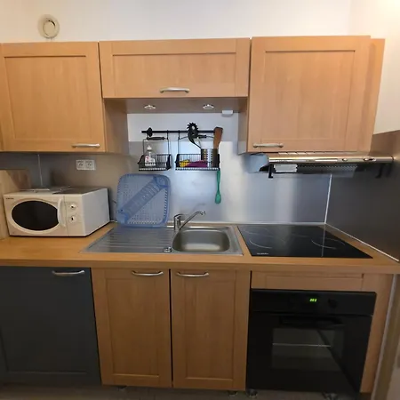 アパート Le Sappey 31 *